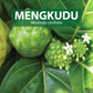 Noni Fruit (Morinda Citriflolia) Herbal Capsules For Sale