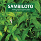 Sambiloto Herbal Capsules For Sale | Buy Sambiloto Herbal Capsules 