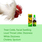 Super Green Plus Antibiotic Rooster Chicken for Prevention Treatment 10 cc for sale