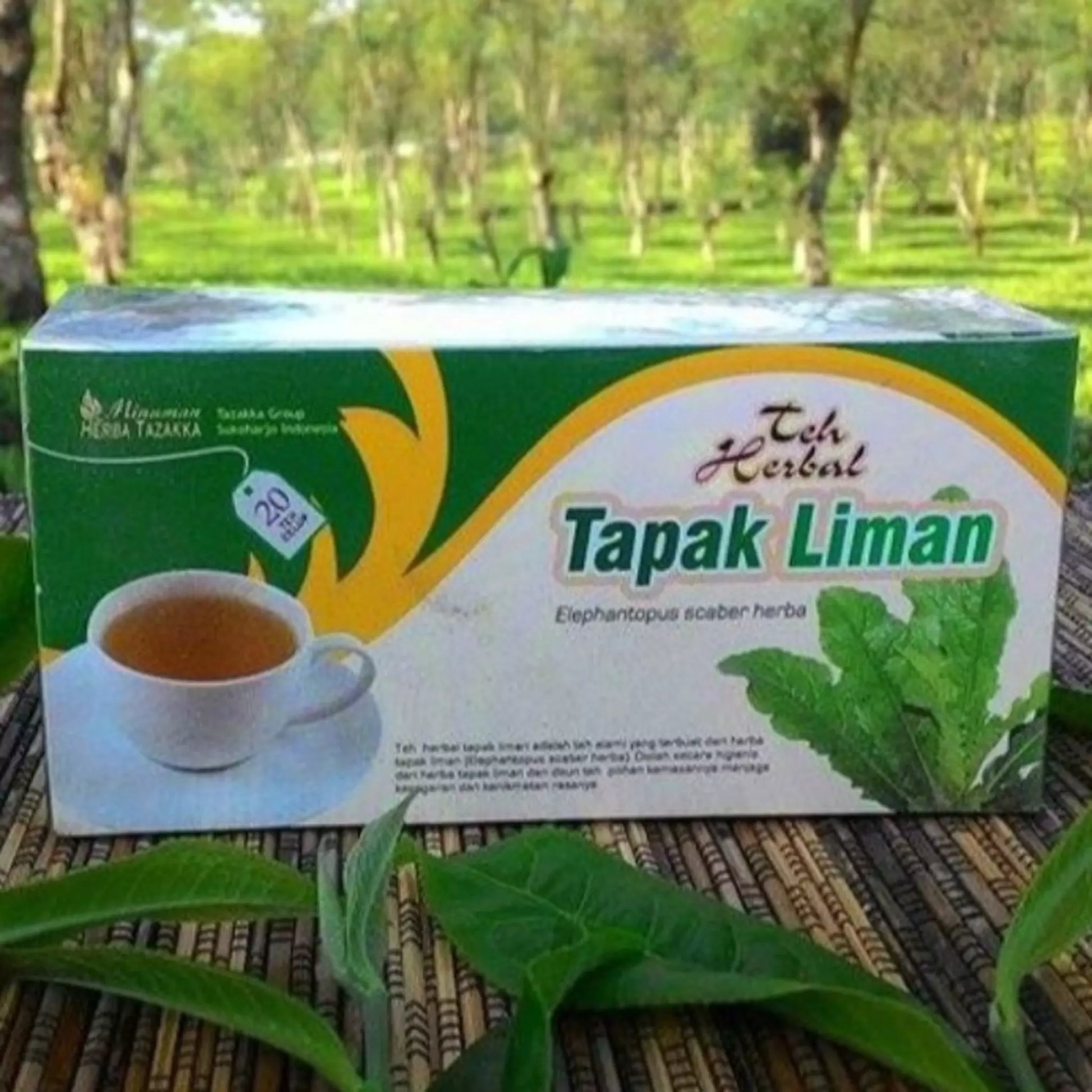 Elephantopus Scaber Leaf Tea Bags For Sale, Elephantopus Scaber Herbal Tea