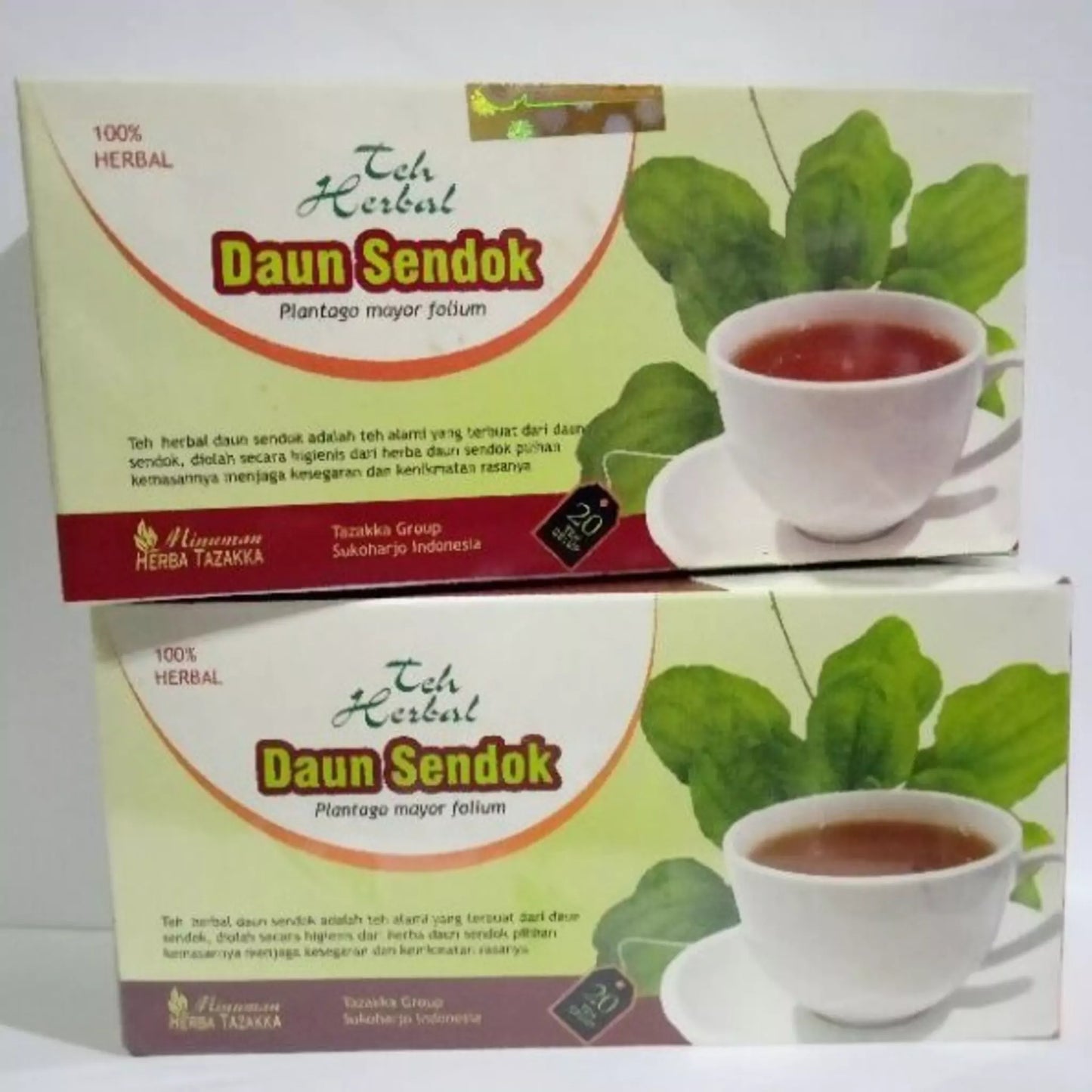 Plantago Major Leaf Tea Bags - TAZAKKA Teh Daun Sendok